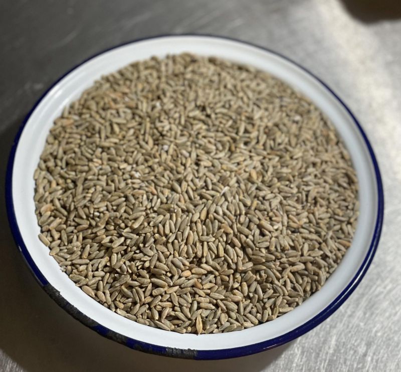 Organic Rye Grain (whole grain) - NZ Grown