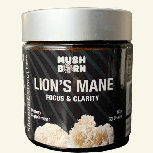 Lion’s Mane Powder, 60g