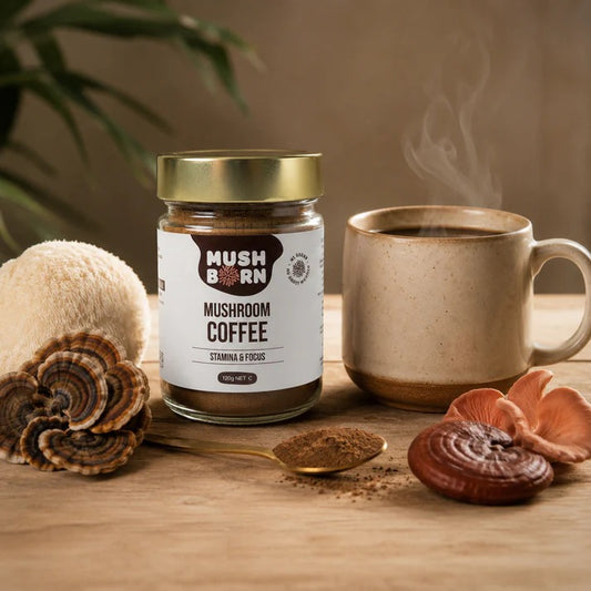Mushroom Coffee, 120g