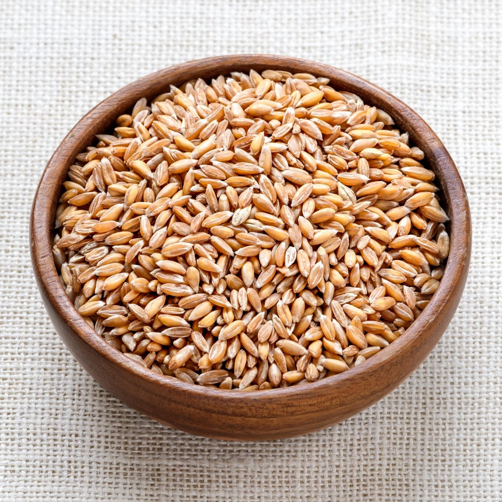 Organic Spelt Grain, hulled - NZ grown